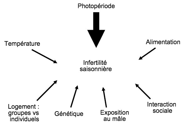 Figure 7. Facteurs influant&nbsp;l&#39;apparition d&#39;infertilit&eacute; saisonni&egrave;re.
